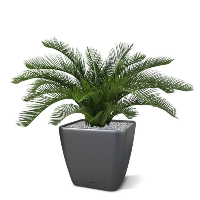 Cycas kunstpalm 60 cm Deluxe