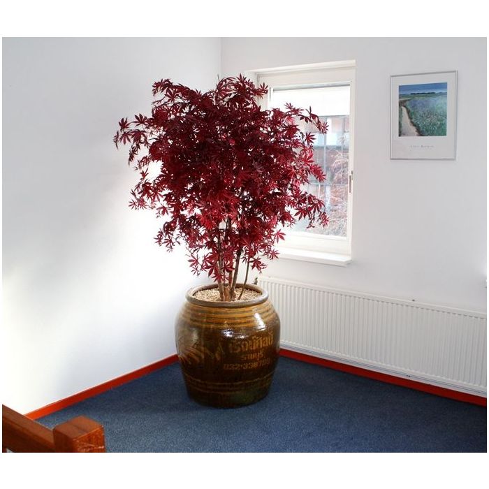 Acer Maple deluxe 165 cm kunstboom burgundy